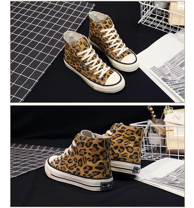 10096955012_2073054058