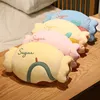 Ins Cute Fruit Candy-shaped Hand Warmer 2021 New  Winter Office Nap Pillow  Strawberry Plush Body Pillows Rome Decor