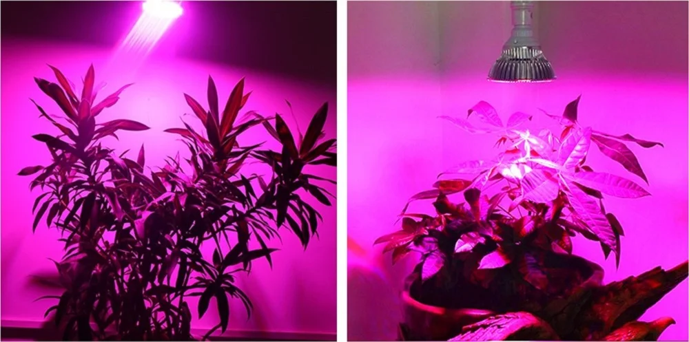 HTB1Z_HYmMvD8KJjy0Flq6ygBFXaO