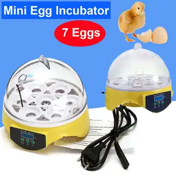 

Automatic 7 Egg Incubator Chicken Egg Incubator Home Digital Duck Quail Pigeon Birds Hatcher Display Thermostat Humidity