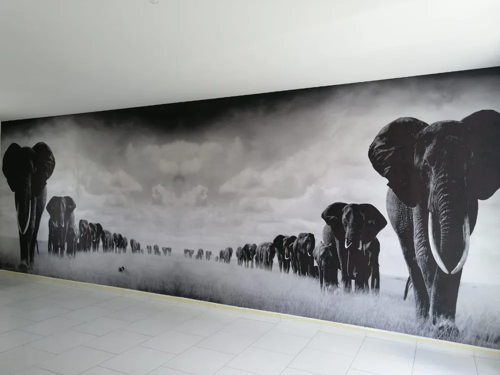 QQ图片20200620093755