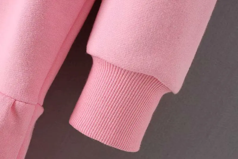 Efvandoloe Длинная женская толстовка; осень женская одежда sudaderas корейский стиль розовые пуловеры