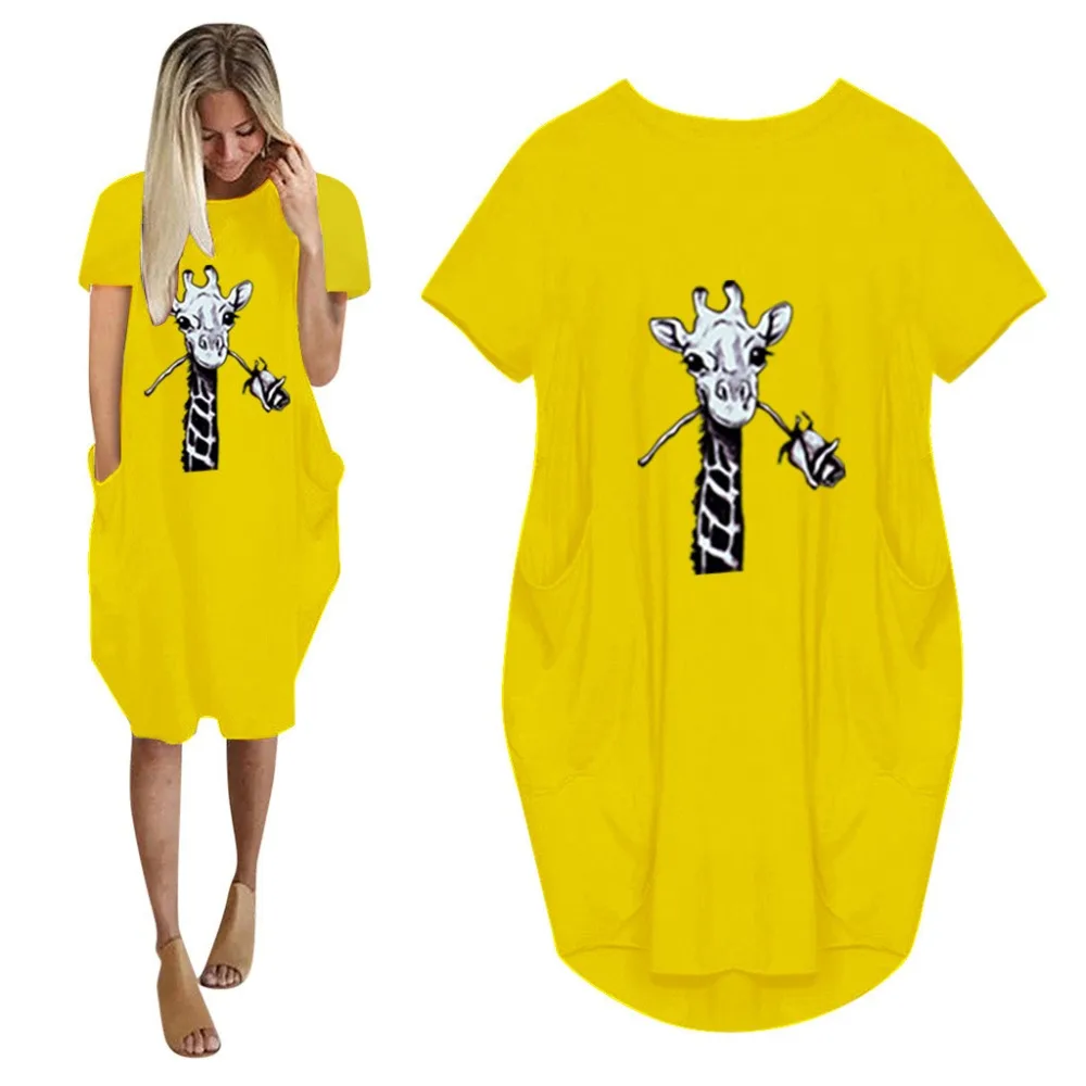 16877221337_411936126