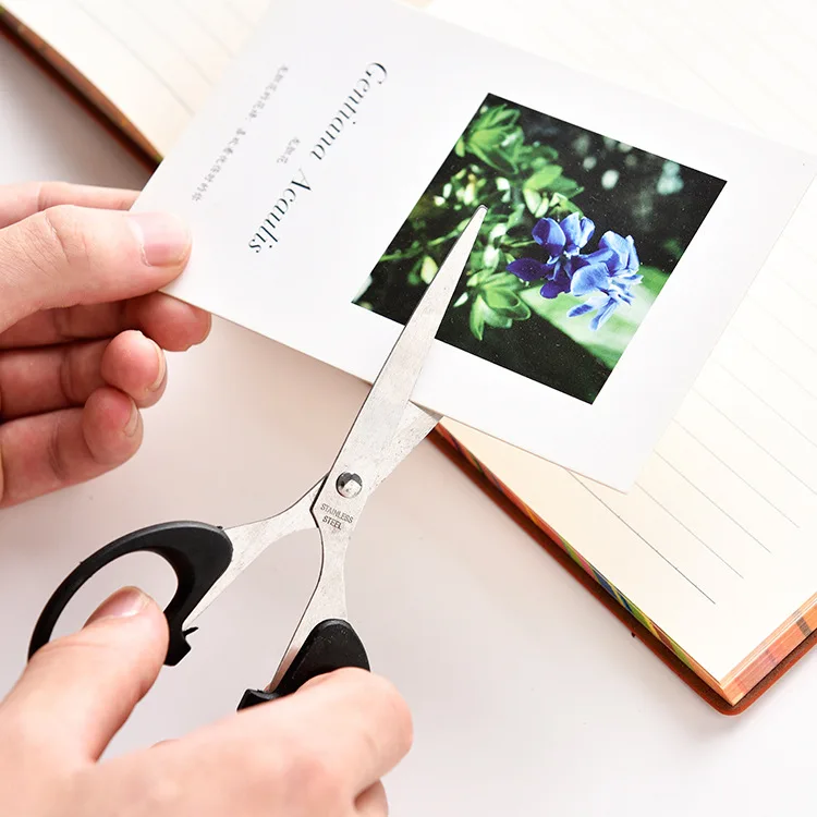 

Creative Office Scissors Multi Purpose Tailor Scissors Students DIY Paper Cutting Knife Household Stainless Steel Small Nail-sci