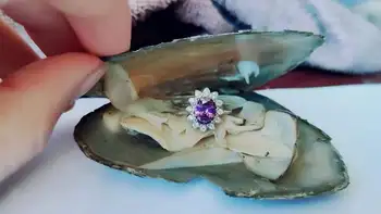 

Fortune Freshwater Oyster with Beautiful Silver Purple Gems Ring Sealed Inside Finished Silver Jewelry in Freshwater Shell PBN88