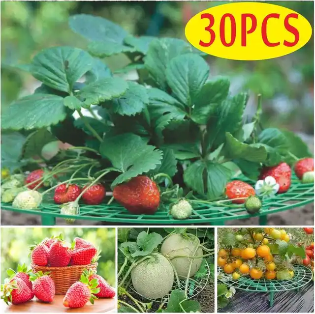 15/30 Db Kertész Állvány Eperállvány Keret Tartó Erkély Ültetési Gyümölcs Tartóvirág Virágoszlop Zöldség Mászó Szőlő