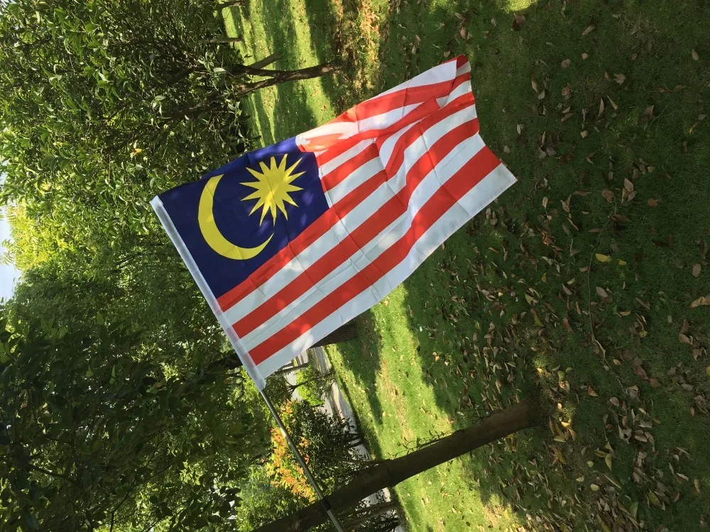 QQ图片20190712135345