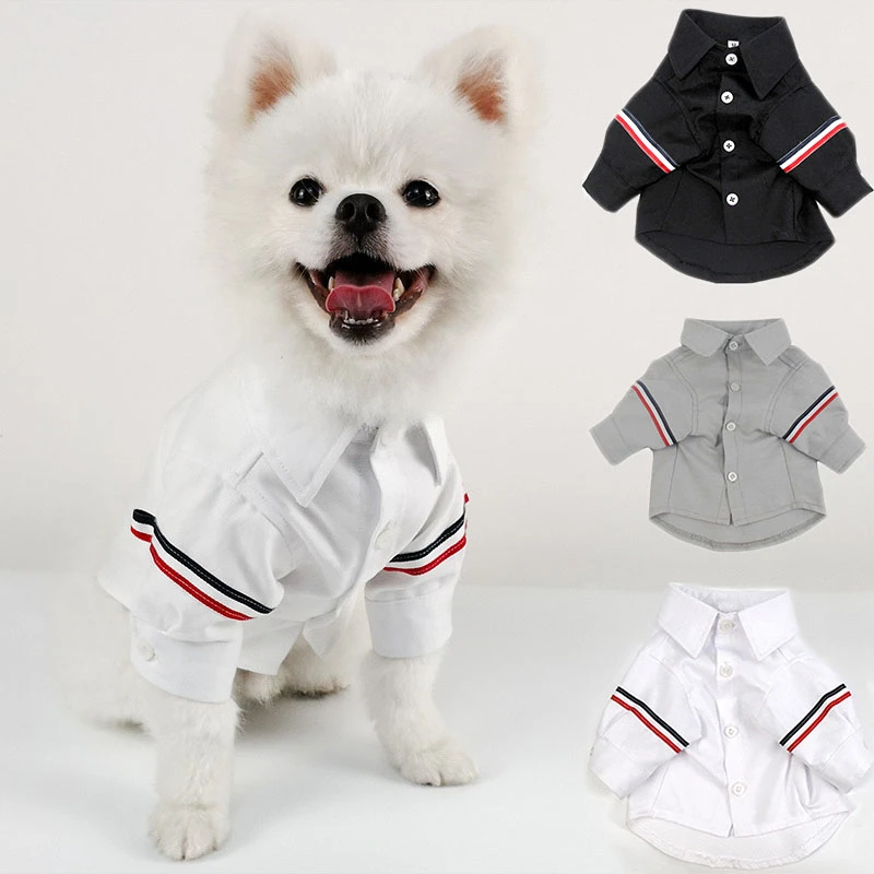 Ropa para perros pequeños, traje de ocio de moda de estilo coreano para  Bulldog Francés, camisa de Pug, trajes para perros de negocios, disfraz  para cachorros|Abrigos y chaquetas para perro| - AliExpress