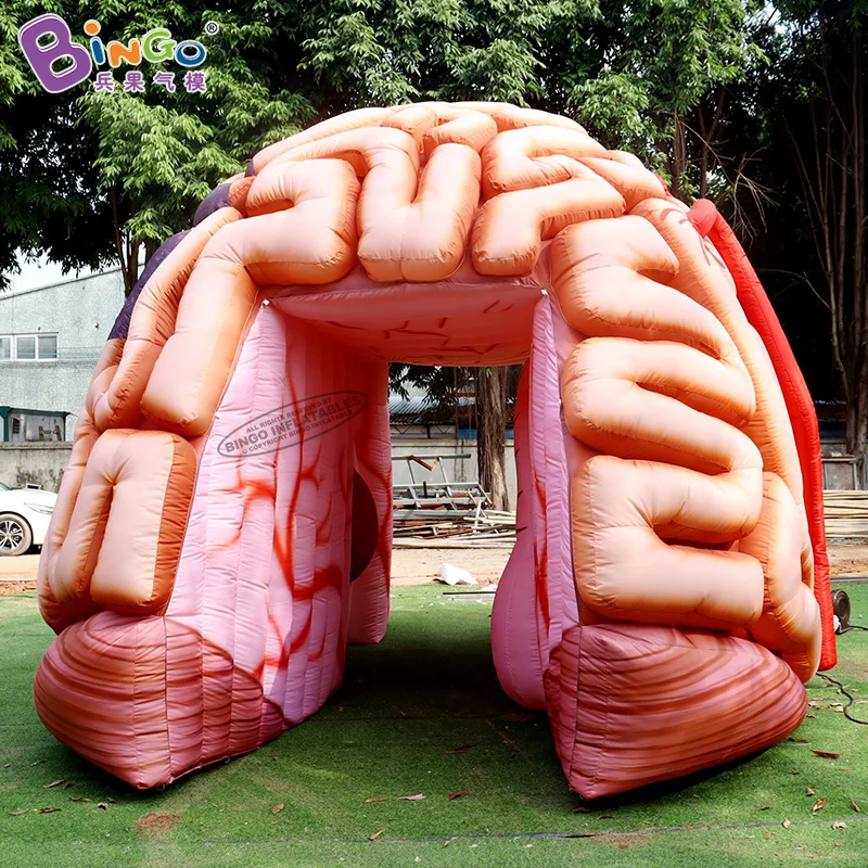 Customized 5.1x4.5x3.6 Meters Inflatable Brain Tunnel Tent For Education / Blow Up Inflated Brain Balloon - BG-H0040 2