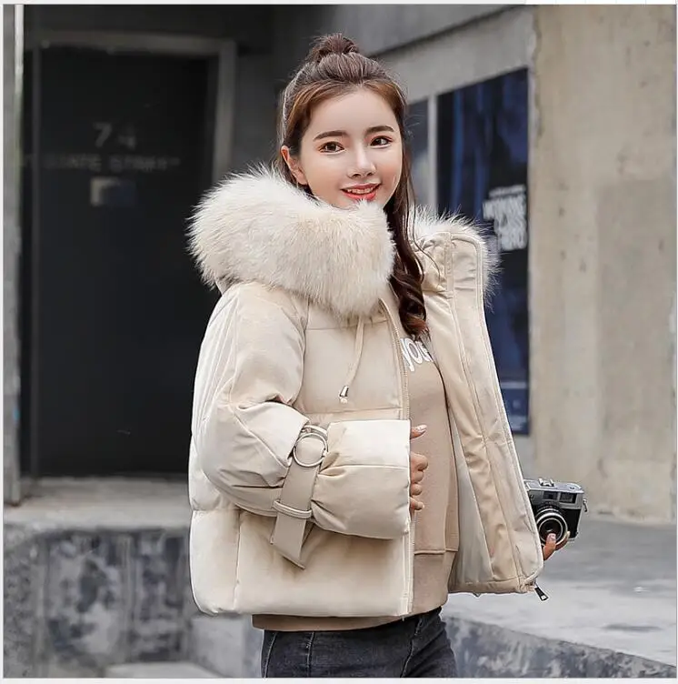 QQ0919090431