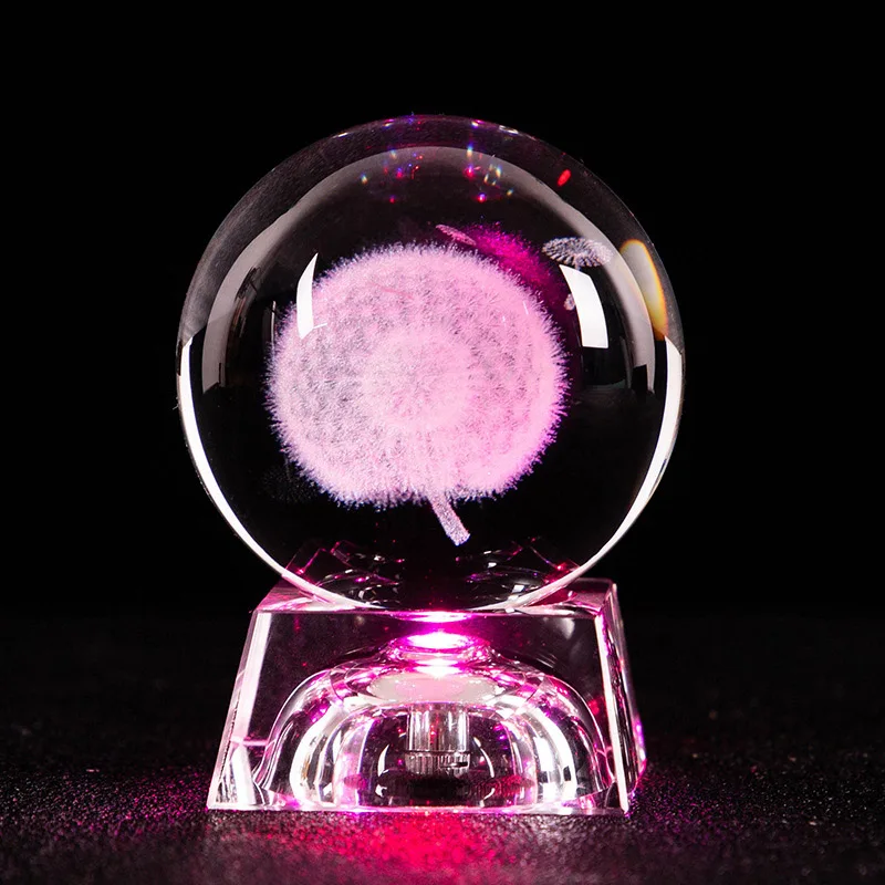 11467636276_393473627