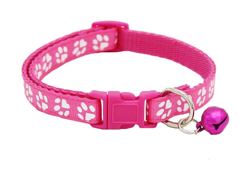 fushia dog collar