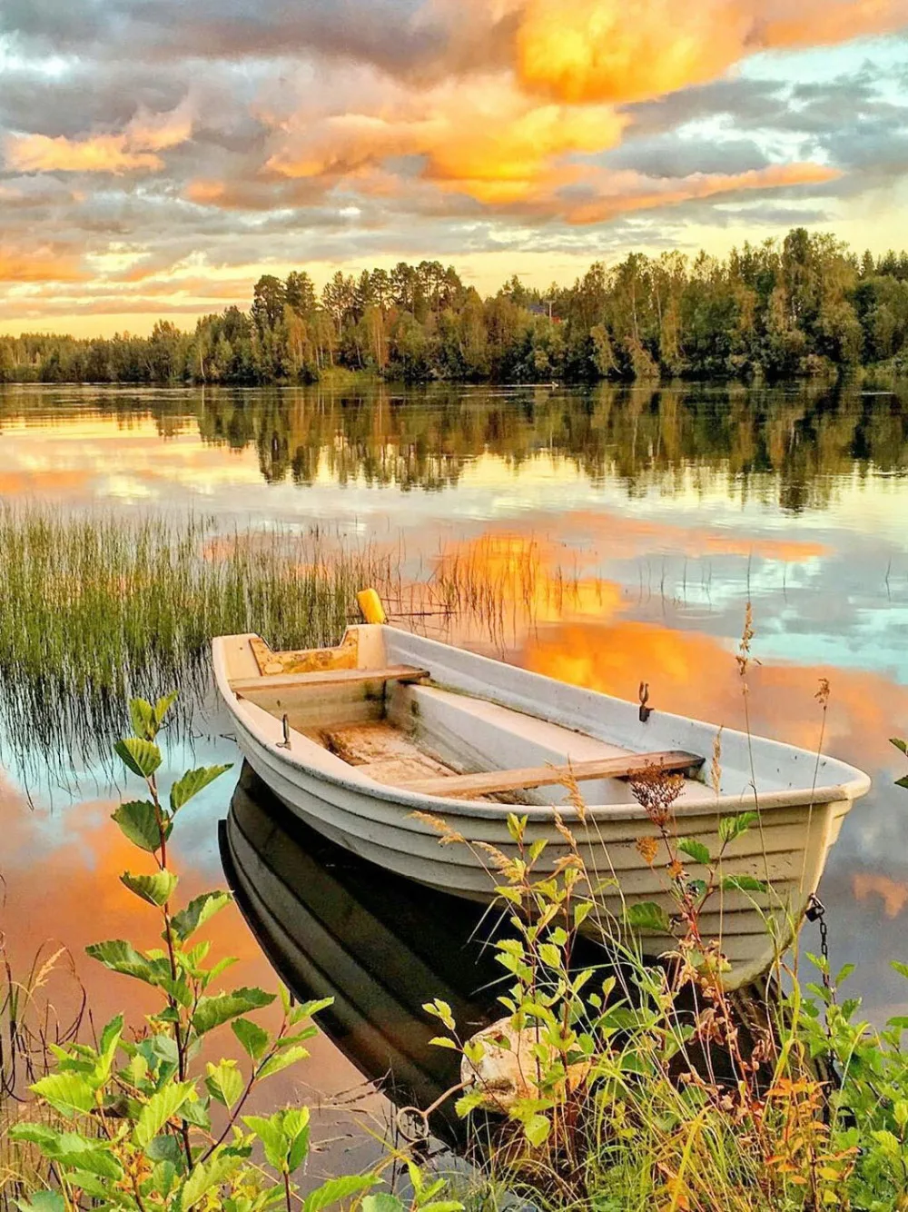 CAN9001503小船40X50_看图王