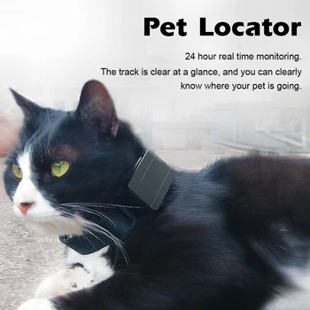 

Dogs Pet Mini GPS Trackers Locator Anti-theft Trackers Anti-Lost Recording Tracking Device Voice 24 Hour Real Time Monitoring