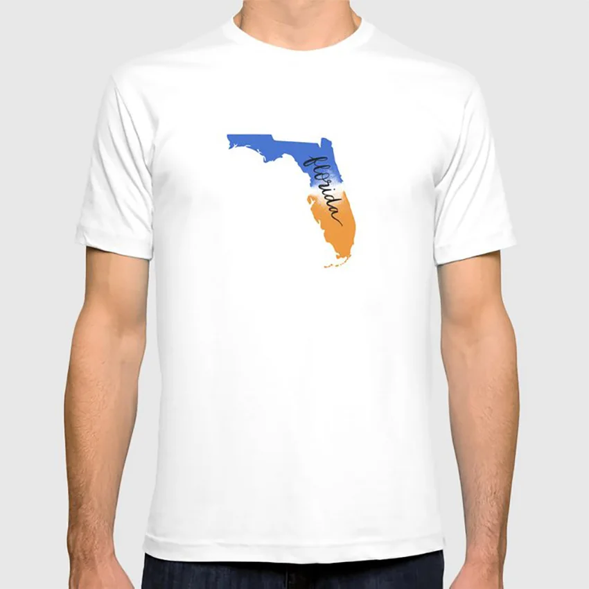 Футболка Florida рисунок state art blue orange каллиграфия современная каллиграфия надпись