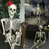 Poseable Full Life Size Human Skeleton Halloween Decoration Party Prop New Halloween Skeleton Holiday DIY Decorations ► Photo 2/5