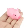 10pcs Pink Pig Sound Pet Toy Small Pig Cat Dog Toy For Teddy Puppy Squeak MIni Pig Dog Toys 4