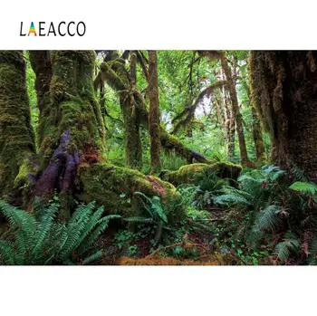 

Laeacco Forest Backgrounds For Photography Old Tree Tropical Rain Forest Moss Green Shrub Natural View Photo Backdrop Photocall