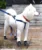 4pcs S/M/L Pet Dog Rain Shoes Anti Slip Waterproof Pet Dog Cat Rain Shoes 7 Цветов Резиновые Сапоги для четырех Сезонов