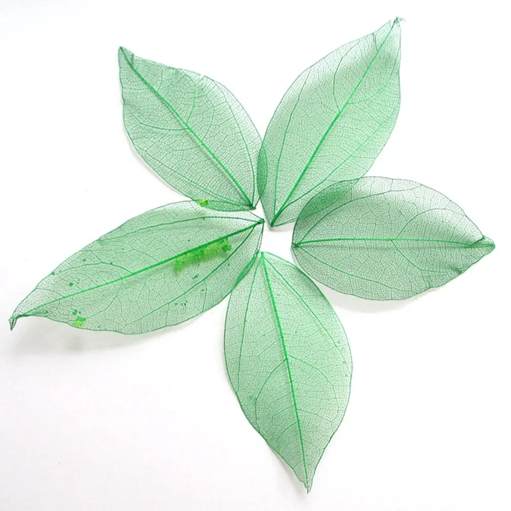 HTB1Py_HIpXXXXcgXpXXq6xXFXXXp