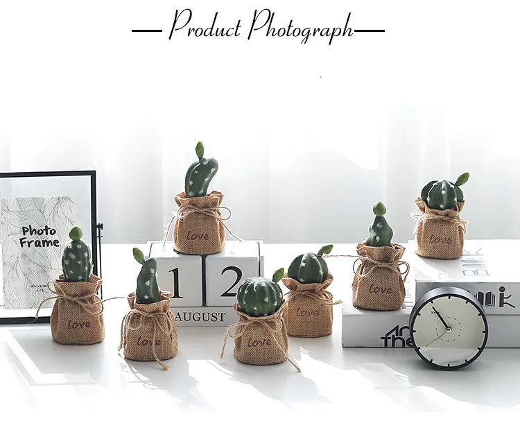 Nordic Wind Simulation Plant Cactus Potted Ornaments Prickly Pear Bonsai Furnishings Home Decorations Succulent Potted QW151 (1)