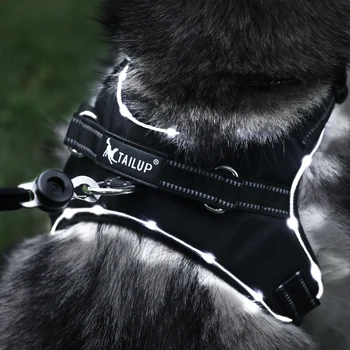 

Hot LED Lamp Dog Harness LED Reflective Dog Vest Harness Breathable Mesh Fabric Safety Chest Vest Harness for Pet Dog Cat Harnes