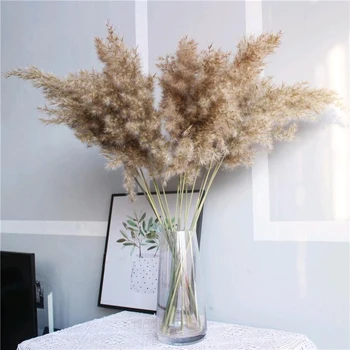 

10 pcs 20pcs Free shipping real dried pampas grass decor wedding flower bunch natural plants decor