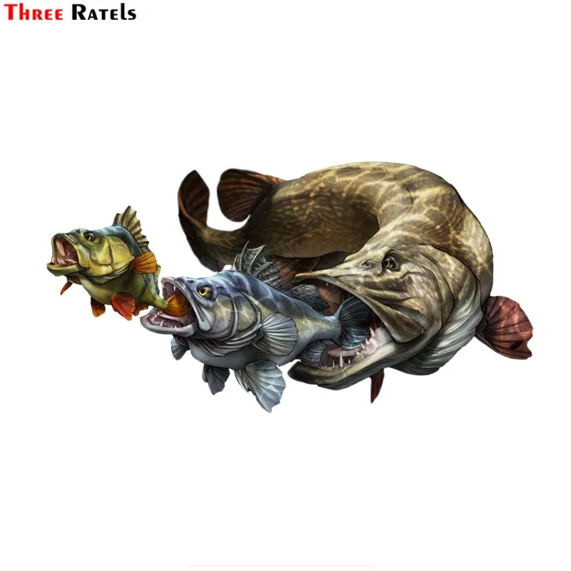 Three Ratels FC952 asome fish art Наклейка для украшения автомобиля дорожный велосипед