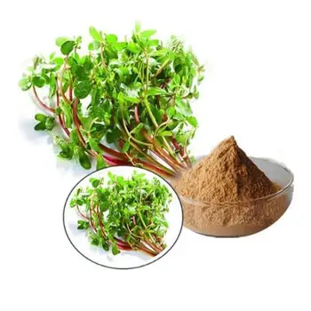 

Pure Bacopa Monnieri Extract powder,improve memory, Focus and attention,Fight against anxi ety and depres sion 1000g
