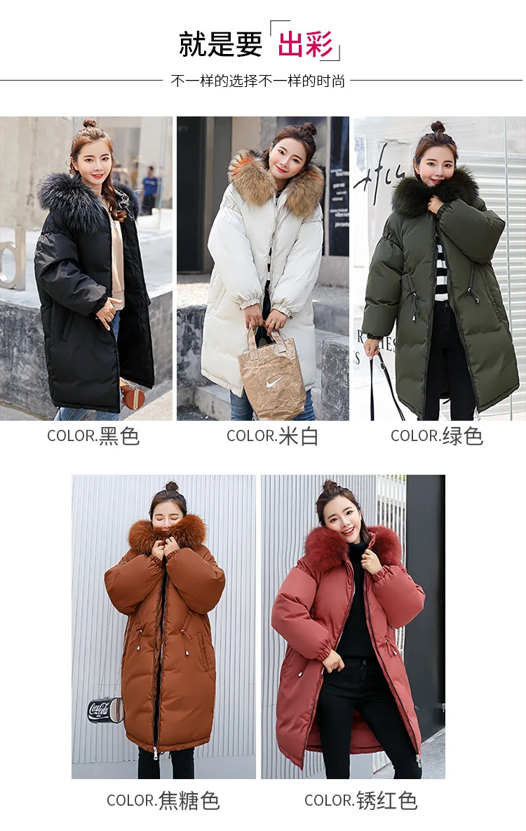 9060563390_1006637240