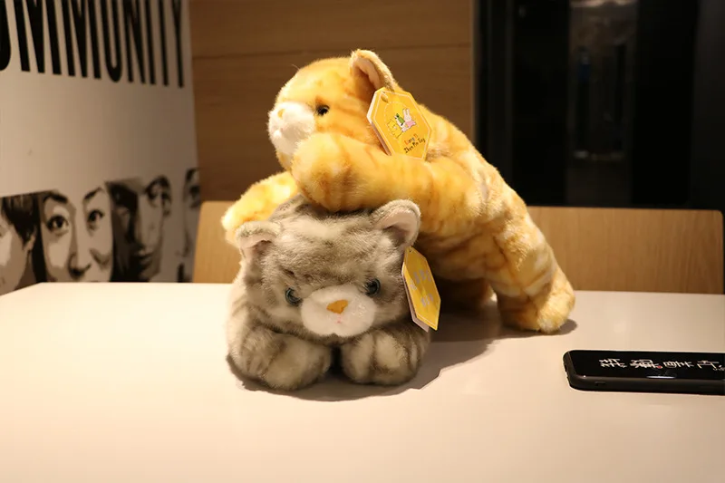 Игрушки для животных, супер Meng Bigeye, кот, тигр, узор, кошка, кукла, автомобильная игрушка, детский подарок для женщин