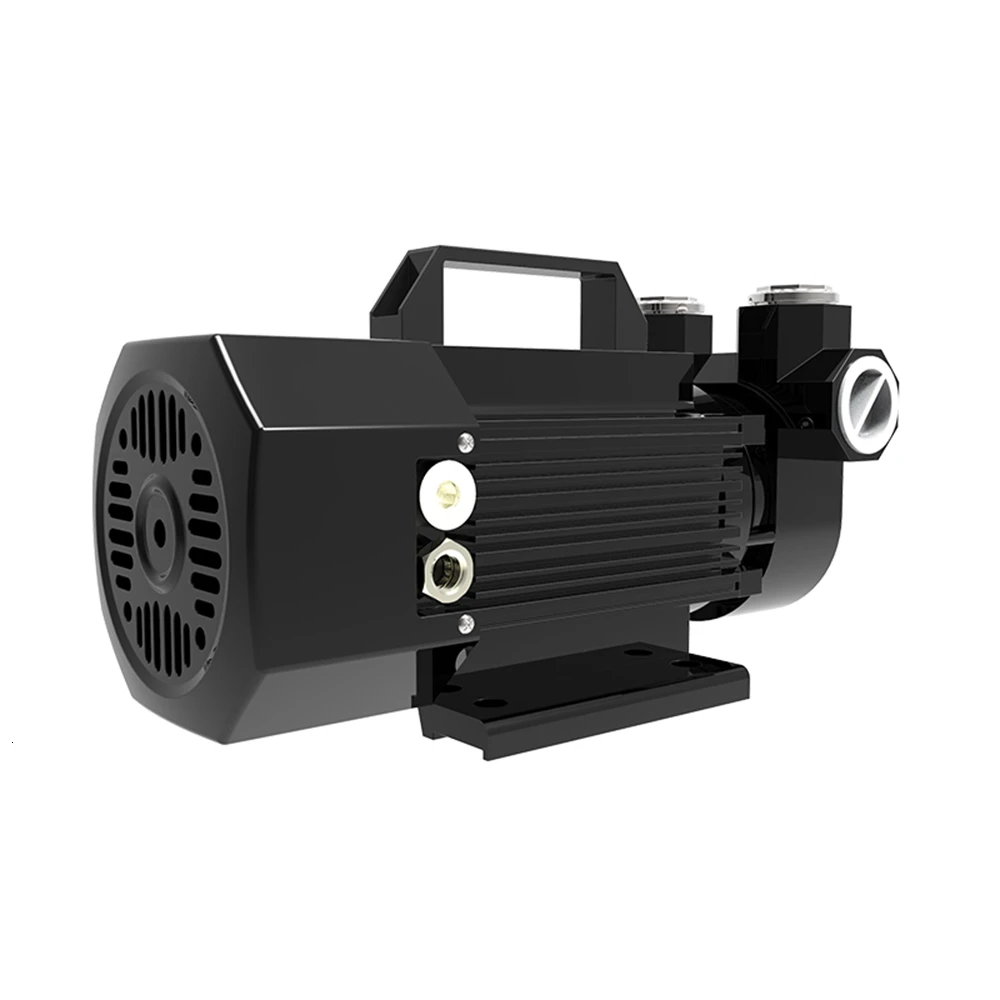 12V 24V бензиновый насос с взрывозащищенной системой самовсасывающий Электрический масляный микронасос насос дизельного топлива 600 Вт 60l/мин