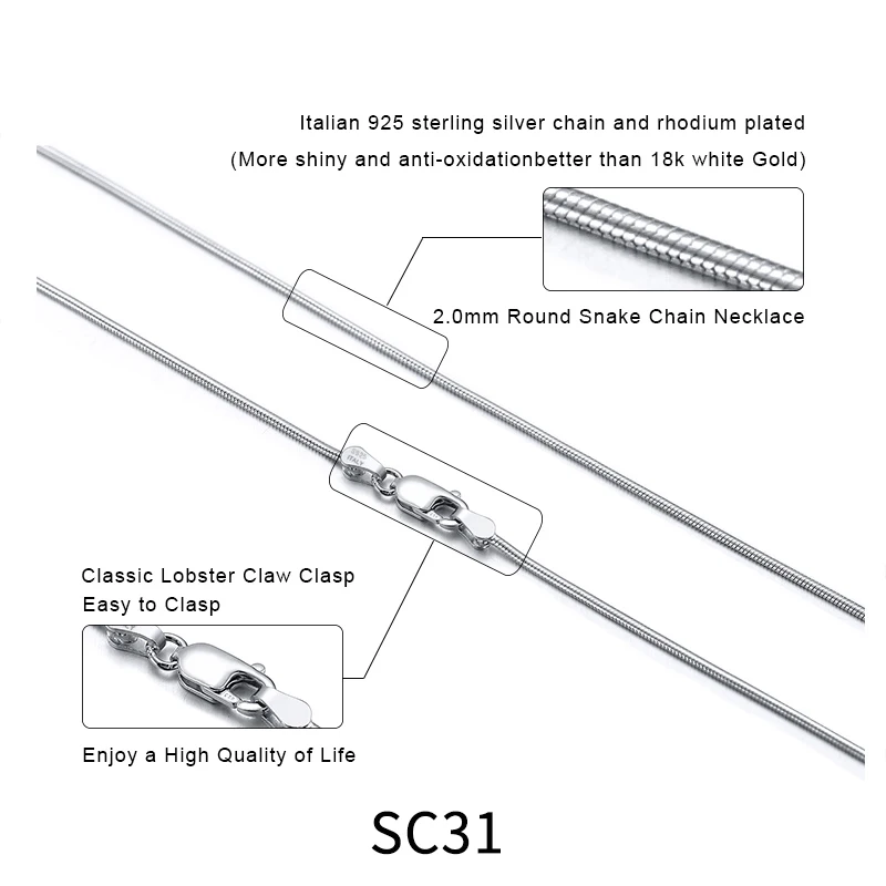 SC31