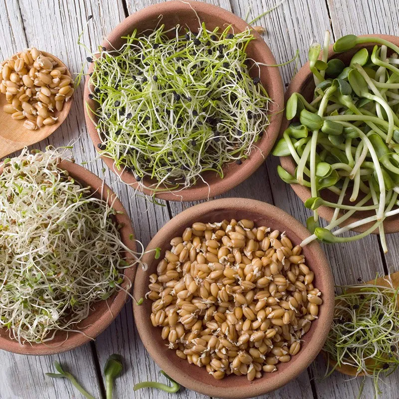 4 упаковки металла Sprouting крышка банки с 2 упаковками металла Sprouting стенды для широкого рта банка с завинчивающейся крышкой консервные банки, чтобы сделать Росток