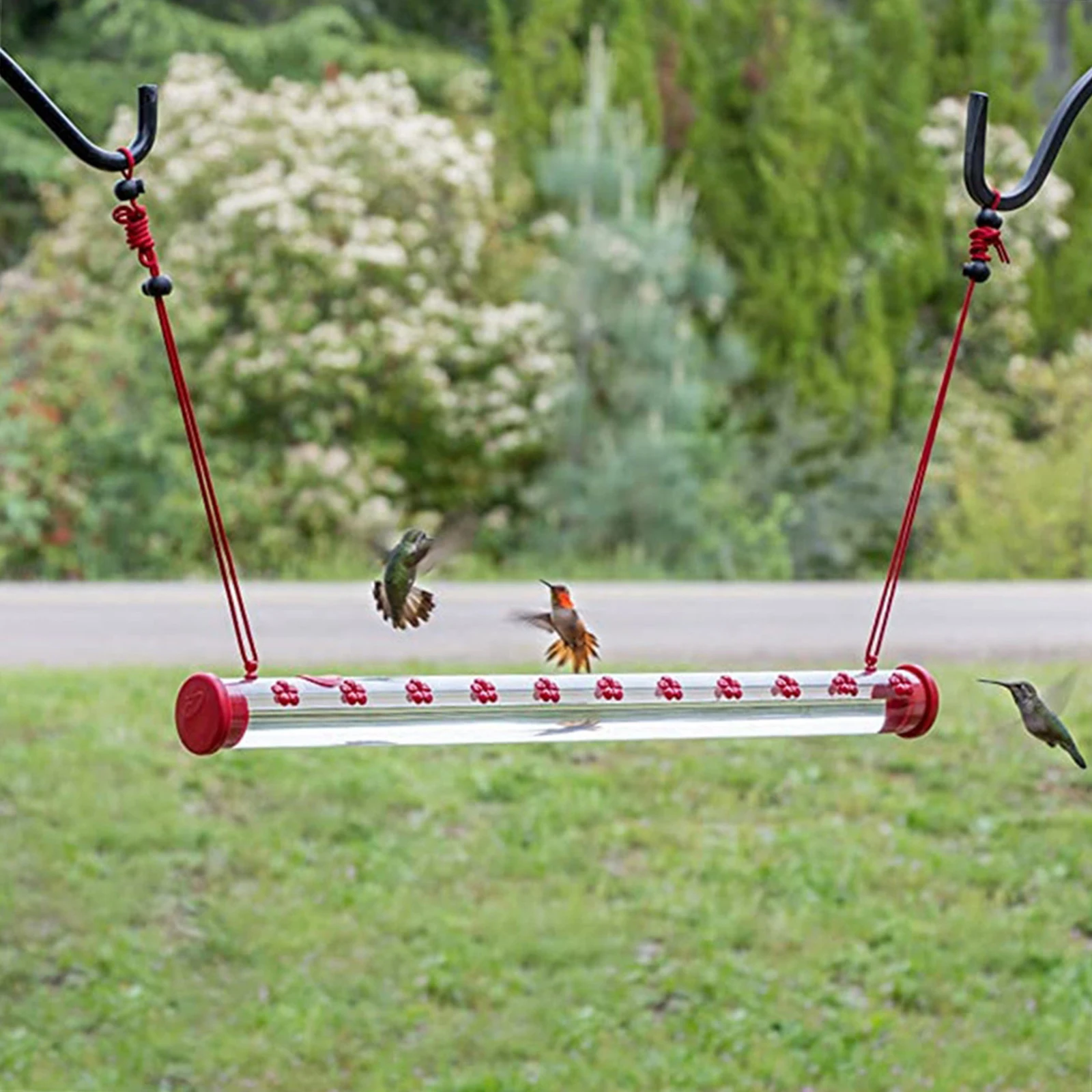Hummingbird Feeder with Hole 새 먹이 Hummingbird Feeder 빨간색 투명 조류 먹이 파이프
