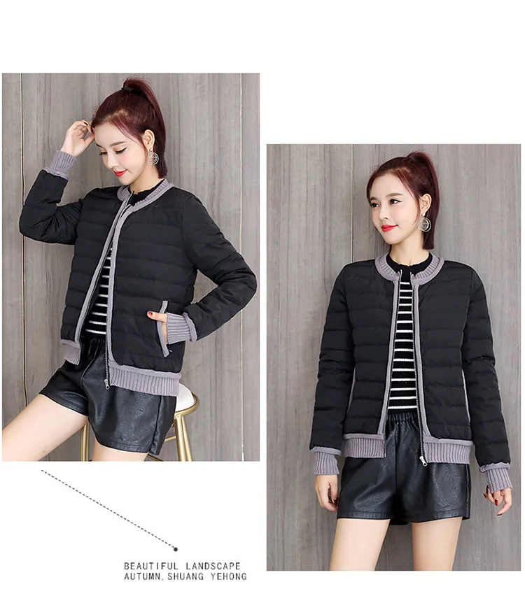 Versitile Fashion Loose Comfortable Elastic Band Hem Winter Long Sleeve Short down Jacket Zipper