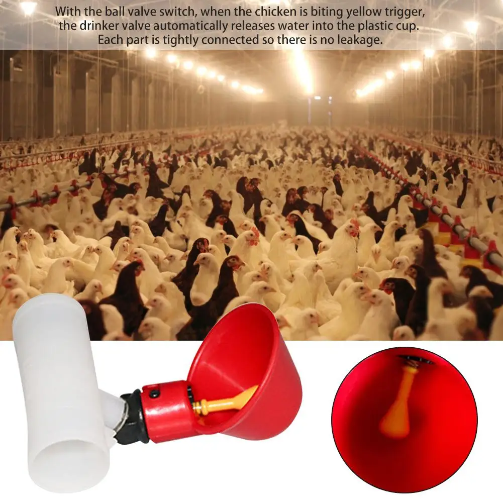 5 шт автоматическая пластиковая поилка для цыплят чашки птицы воды питьевой Диспенсер воды фонтан инструмент для птиц перепелиных голубей курица