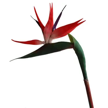 

WSFS Hot Artificial Plastic Bird Of Paradise Bridal Party Wedding Garden Home Decor, Red&Green