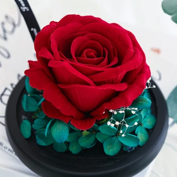 

Beauty And The Beast Valentines Day Gift Rose In Glass Dome With Lights Eternal Real Rose Mother's Day Gift Wedding Party Decor
