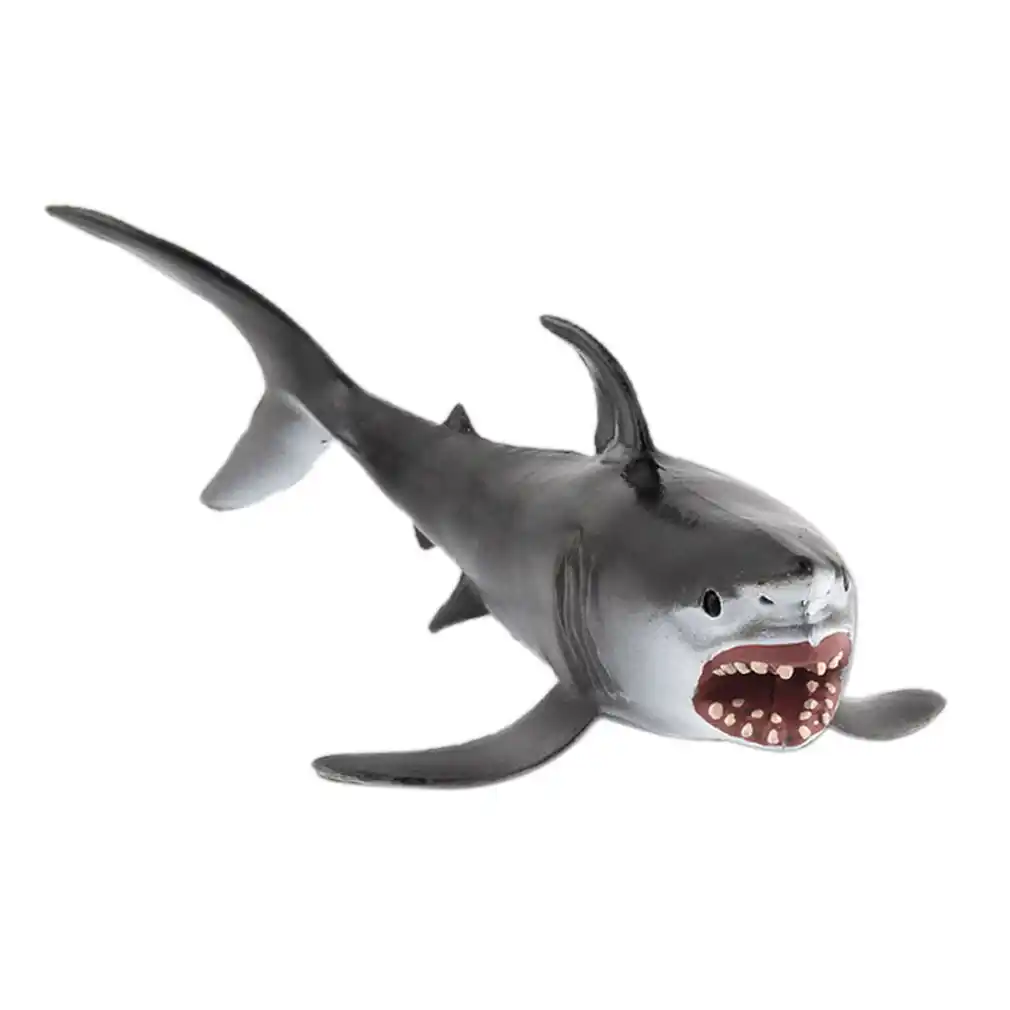 hollow shark toy