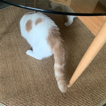 

50cm Round Rattan Sisal Hemp Carpet Living Room Bedroom Decoration Tatami Rug Carpets Non-slip Enter Hallway Cat Scratcher Mat