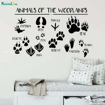 

Woodland Wall Decal for Kids Animal Wall Stickers Toddler Boy Room Decor Creative Home Decor Art Murals Bedroom YT3232