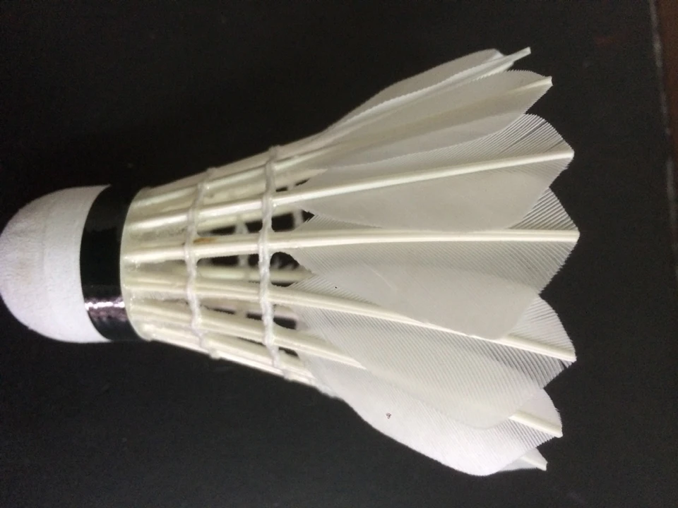 3497434336_1790847558 (1)