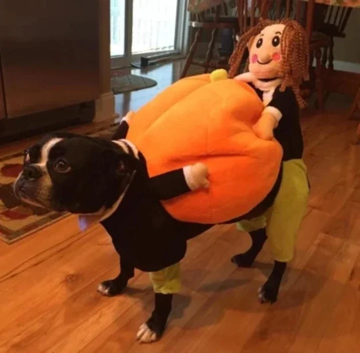 Funny Cosplay Pet Costume Pumpkin Suit for Cats Halloween Christmas Clothes for Dogs Party Dressing Up Dog Clothing Cat Apparel