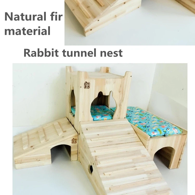 Rabbit Ladder ubicaciondepersonas.cdmx.gob.mx