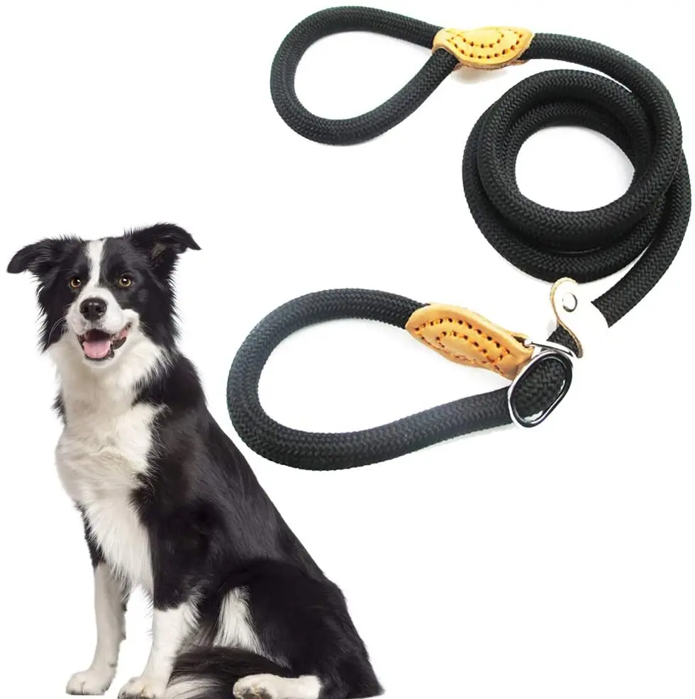 Pet Dog Slip Leash Nylon Dog Rope Leash Dogs Choke Leads Slip Collar