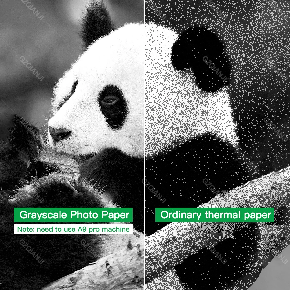 Карманный фотопринтер Peripage A9PRO термоэтикетки Примечания принтер 300 точек/дюйм