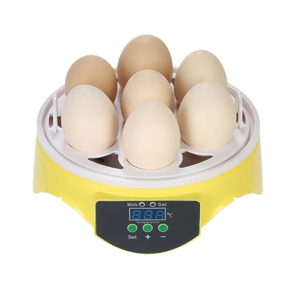 

Hot 7 Eggs Incubator Hatcher Transparent Eggs Hatching Machine Automatic Temperature Control for Chicken Duck Bird Eggs