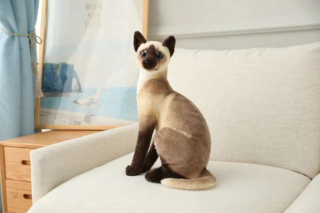 20-45CM Cat Plush Toys American Shorthai Siamese Ragdoll Stuffed Doll Lifelike Animal Toy For Children Home Decor Baby Gift