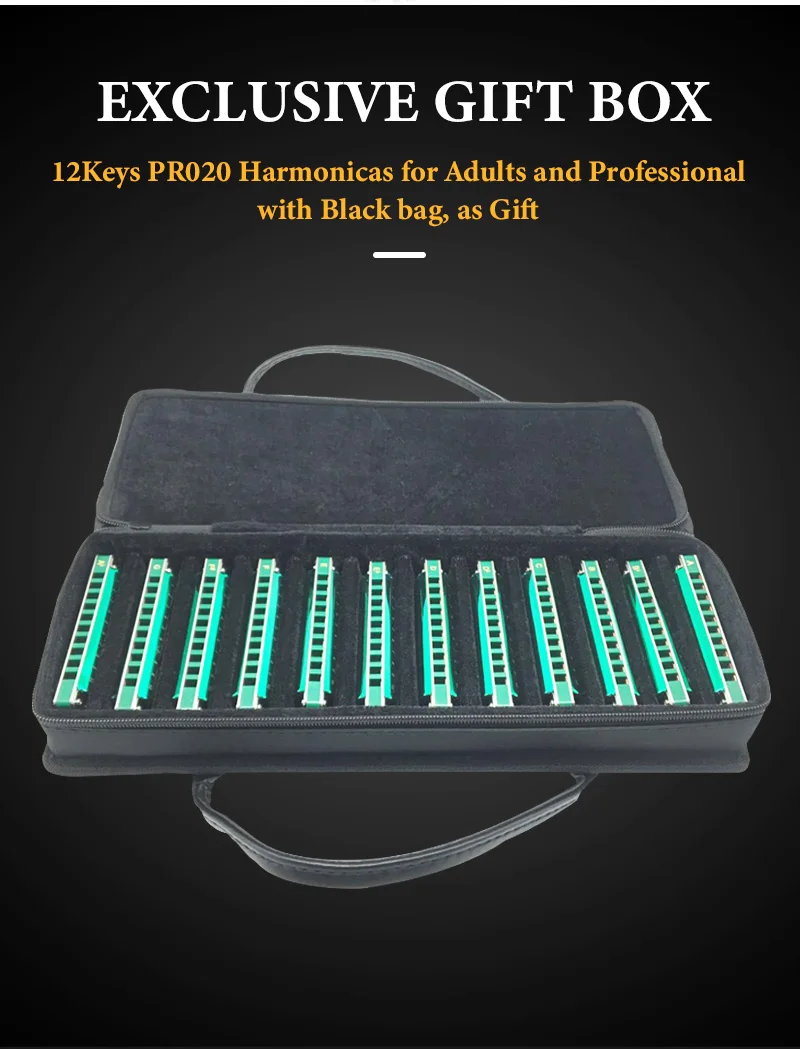 Description Picture 6 of itemEASTTOP Major Blues Harmonica Sets 12 Keys Diatonic Harmonica in Key of C D E F G A Bb B Ab for Adults Beginners Students Kids